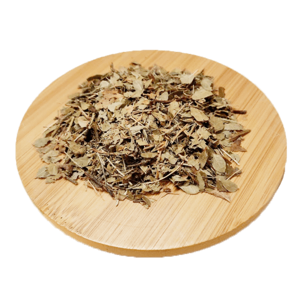 Feuilles de Myrtilles - Folia Myrtilli
