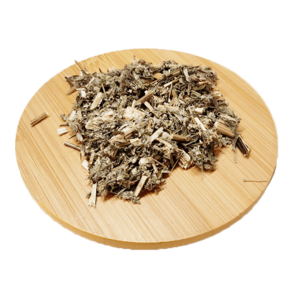 Armoise - Artemesia vulgaris