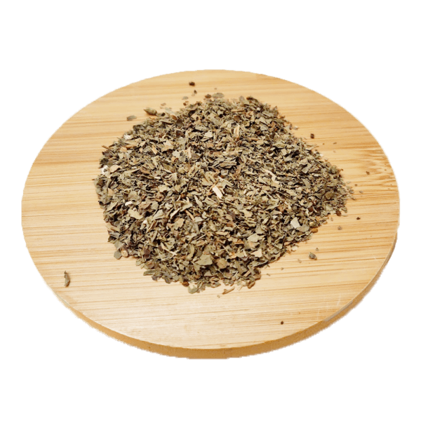 Basilic - Ocimum basilicum
