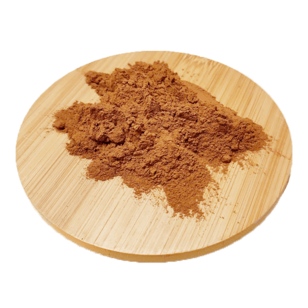 Cannelle - Cinnamomum verum