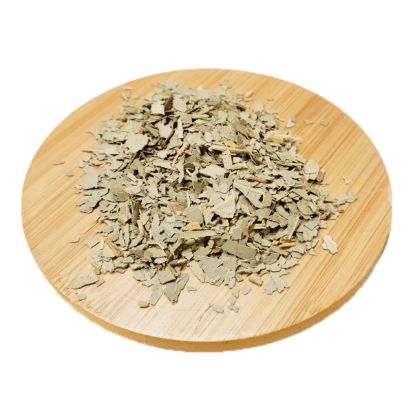 Eucalyptus - Eucalyptus Globulus