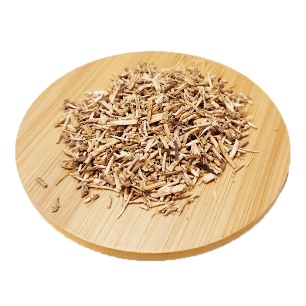 Chiendent - Agropyrum repens