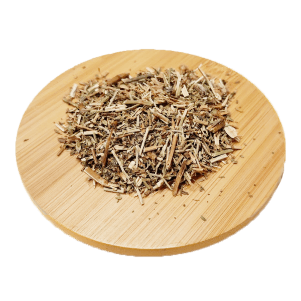 Hysope - Hysopus officinalis