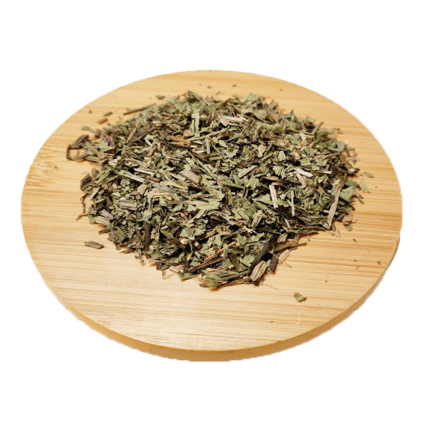 Plantain - Plantago