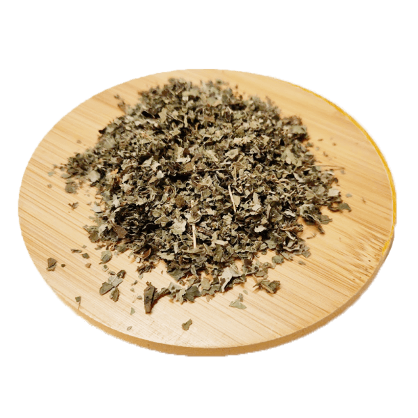 Ronce -Rubus fruticosus