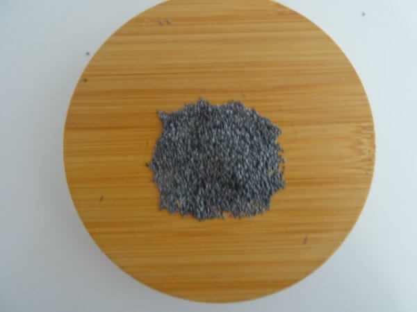 Pavot- Papaveris coeruleum