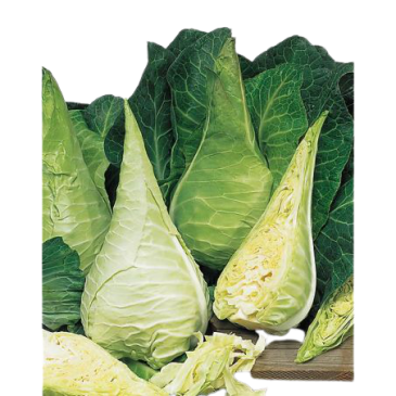 Chou Cabus Blanc Filderkraut