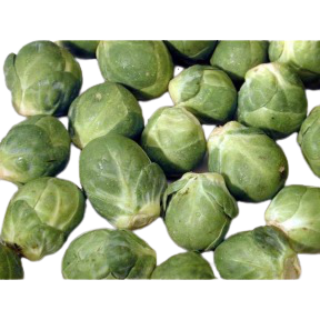 Chou de Bruxelles Groninger