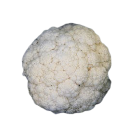 Chou Fleur Flora Bianca