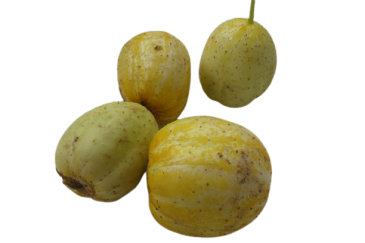Concombre Lemon