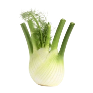 Fenouil Doux Perfection