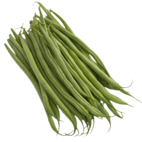 Haricot Nain Mangetout Morgane