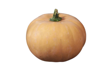 Courge Musquée Carat