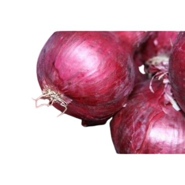 Oignon Rouge Robelja