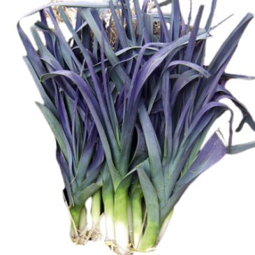 Poireau Saint Victor