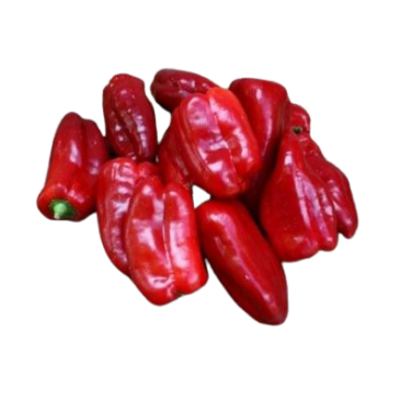 Poivron Doux d'Espagne