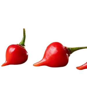 Piment Biquinho Rouge