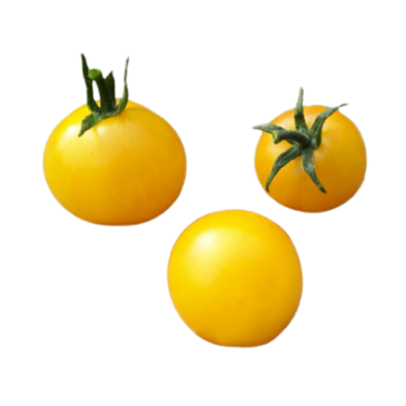 Tomate Cerise Balconi Jaune