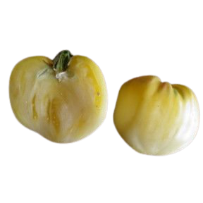 Tomate Coeur de boeuf  Blanche