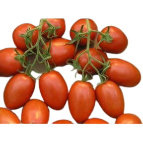 Tomate de Bérao