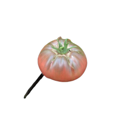Tomate Noire de Crimée