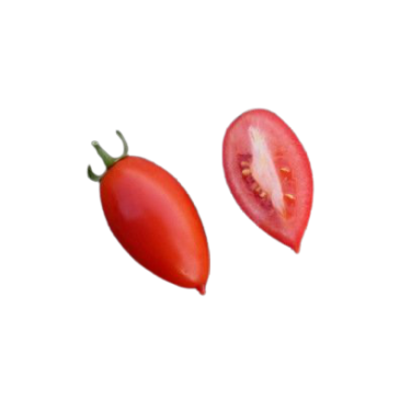 Tomate Prolifique de Falisolle
