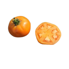 Tomate Yellow Belgian
